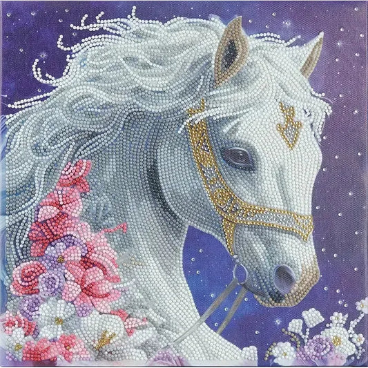 Mystic Beauty Crystal Art Framed Canvas Kit Craft Buddy