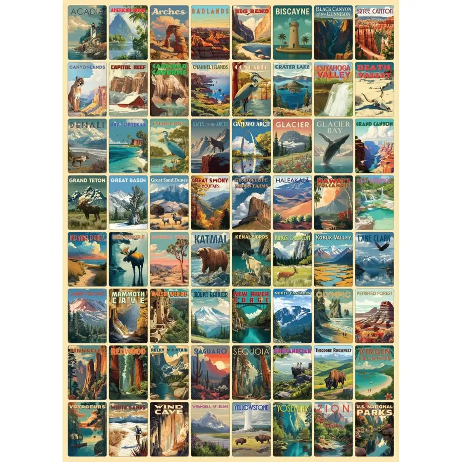 National Parks 1000 Piece Jigsaw Puzzle Final Piece