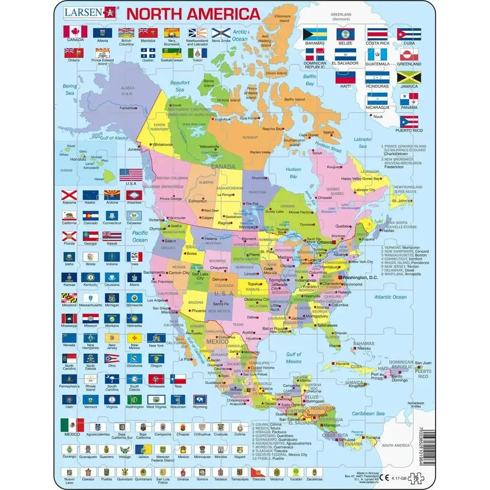 North America Map 70 Piece Tray Jigsaw Puzzle Larsen