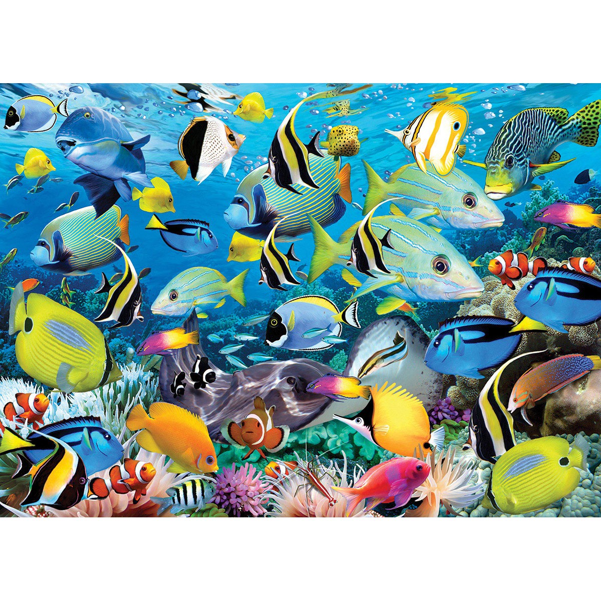 Ocean Colors 1000 Piece Jigsaw Puzzle Eurographics