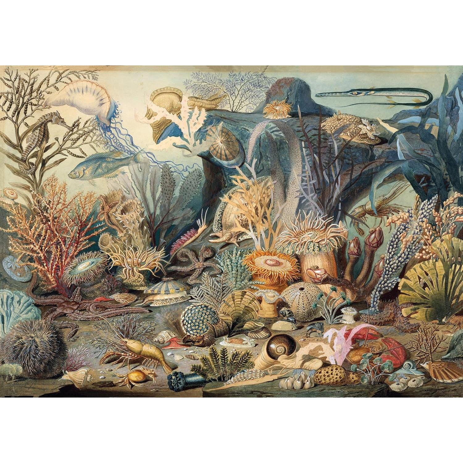 Ocean Life 1000 Piece Jigsaw Puzzle Peter Pauper