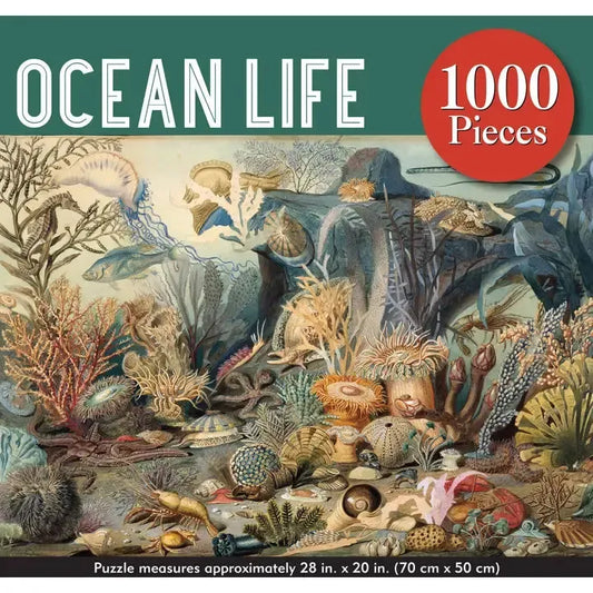 Ocean Life 1000 Piece Jigsaw Puzzle Peter Pauper