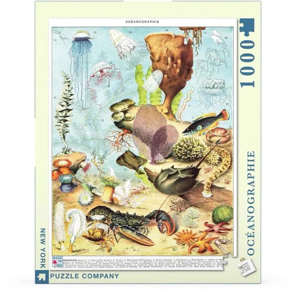 Oceanography 1000 Piece Jigsaw Puzzle NYPC