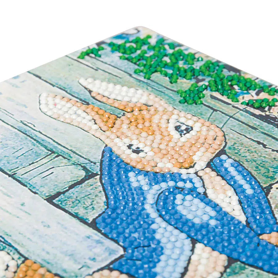 Peter Rabbit Under the Gate Crystal Art Card Kit Craft Buddy