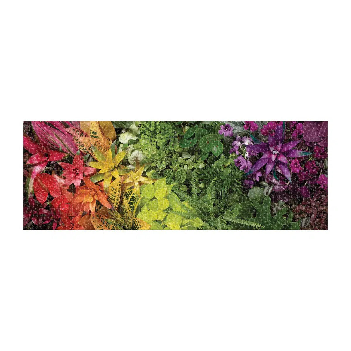 Plant Life 1000 Piece Panoramic Jigsaw Puzzle Galison