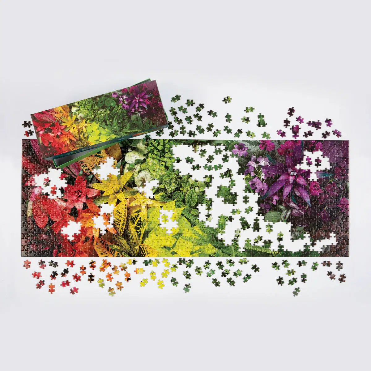 Plant Life 1000 Piece Panoramic Jigsaw Puzzle Galison