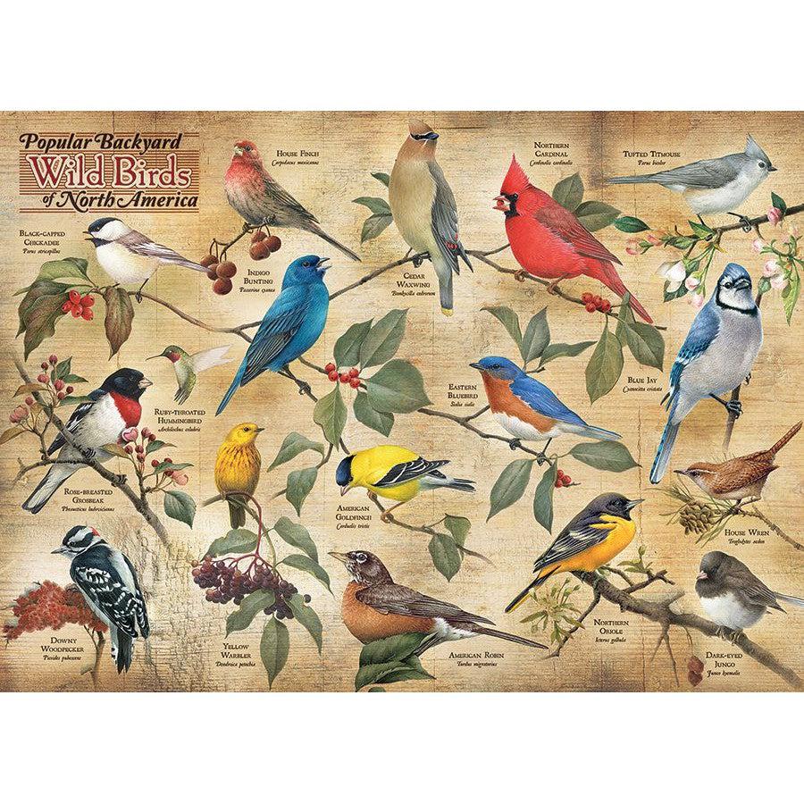 Popular Backyard Wild Birds of North America 1000 Piece Jigsaw Puzzle Cobble Hill