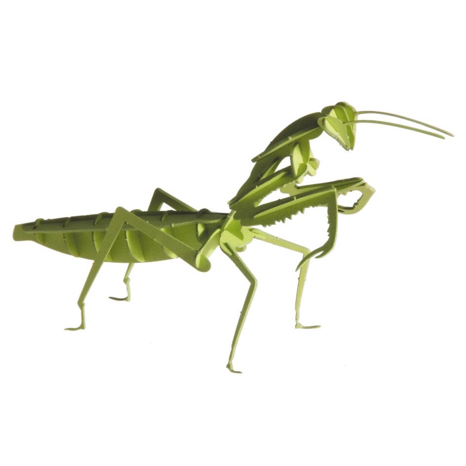 Praying Mantis 3D Cardboard Model Kit Fridolin