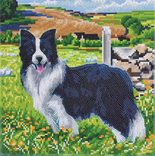 Pup in the Field Crystal Art Framed Canvas Kit Craft Buddy