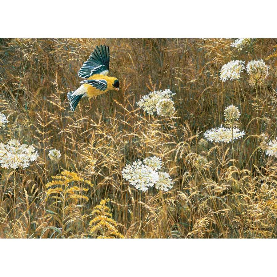 Queen Anne's Lace & American Goldfinch 500 Piece Jigsaw Puzzle Cobble Hill