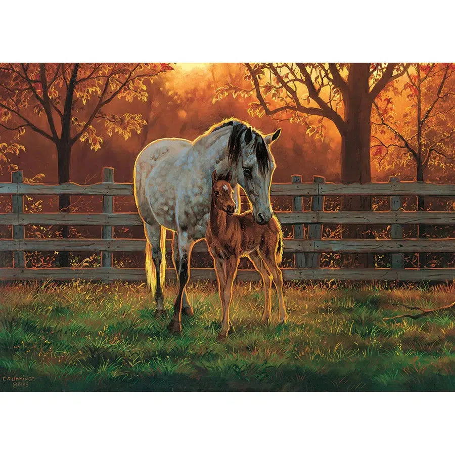 Quiet Time 500 Piece Jigsaw Puzzle Cobble Hill