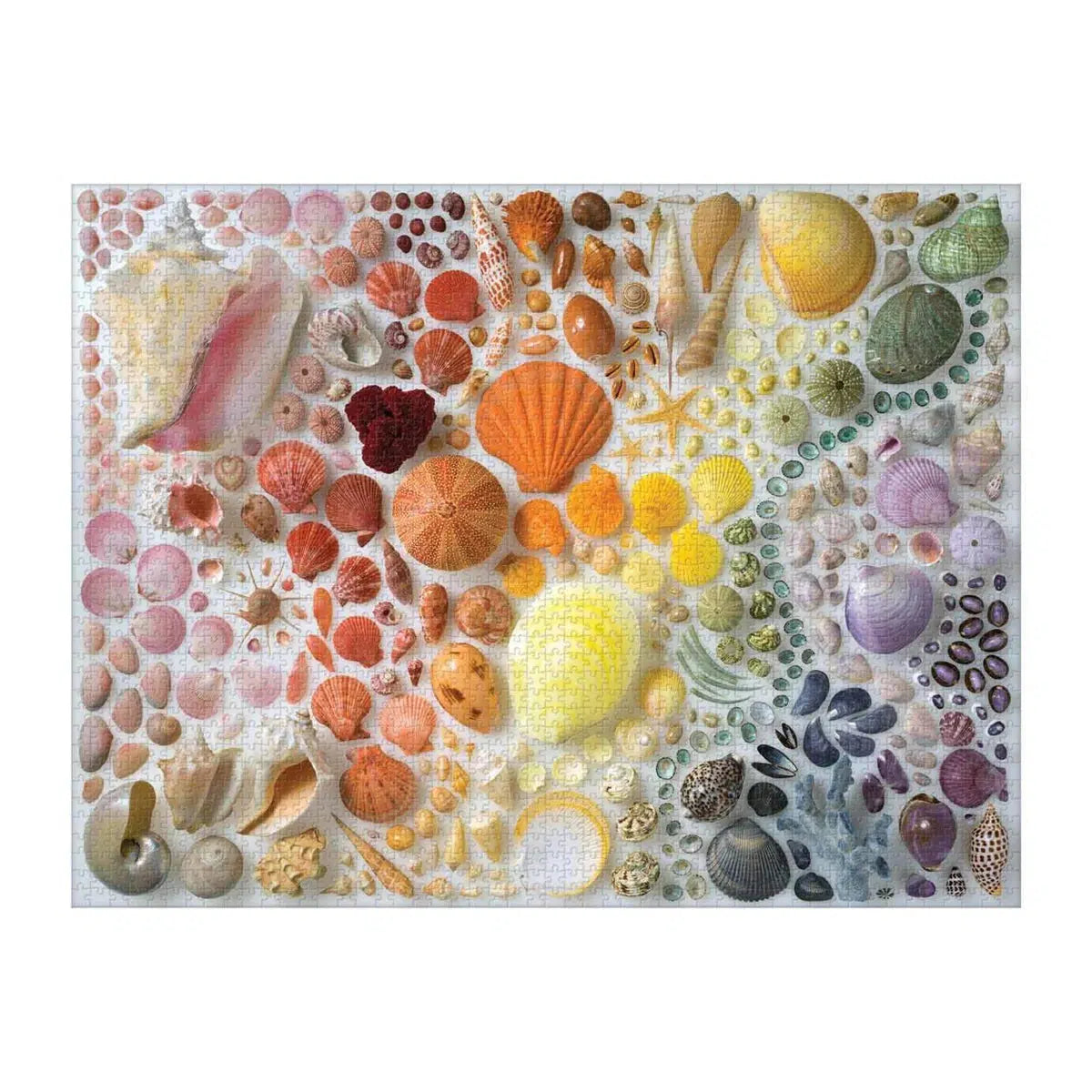 Rainbow Seashells 2000 Piece Jigsaw Puzzle Galison