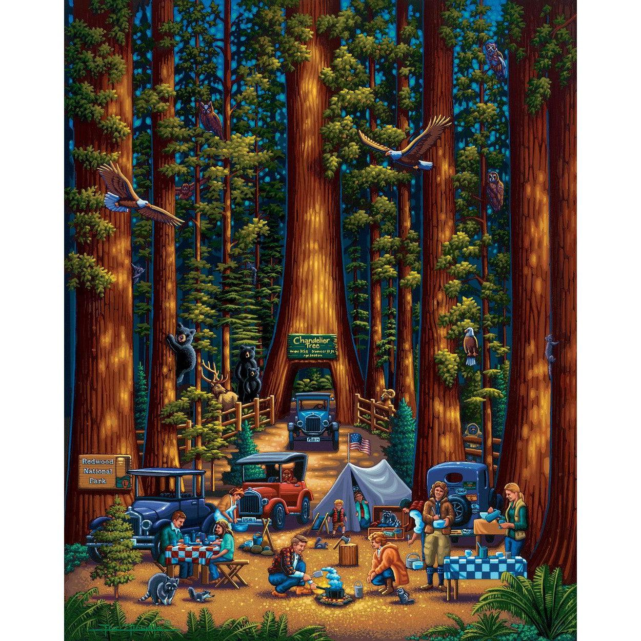 Redwood National Park 210 Piece Jigsaw Puzzle Dowdle