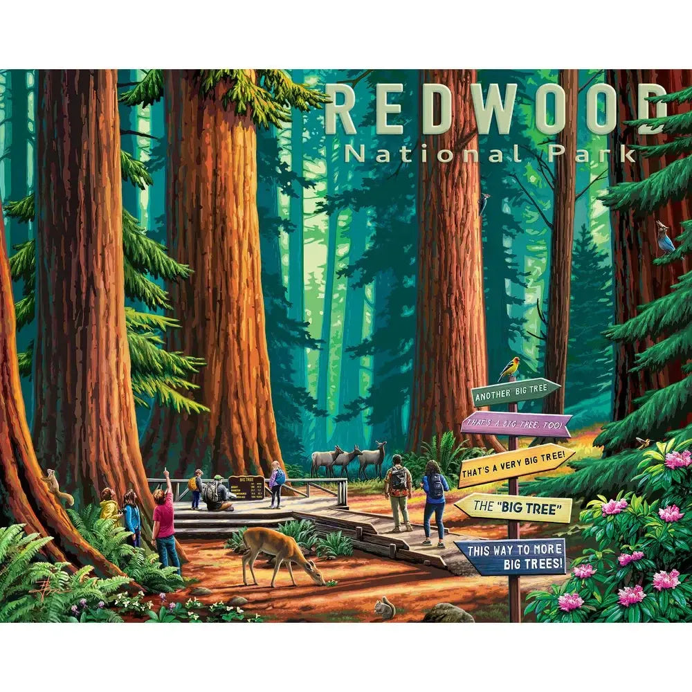 Redwood National Park 500 Piece Jigsaw Puzzle Boardwalk