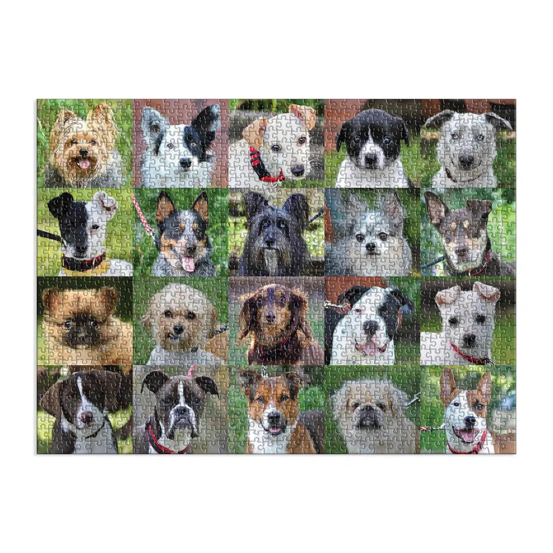 Rescue Dogs 1000 Piece Jigsaw Puzzle Galison