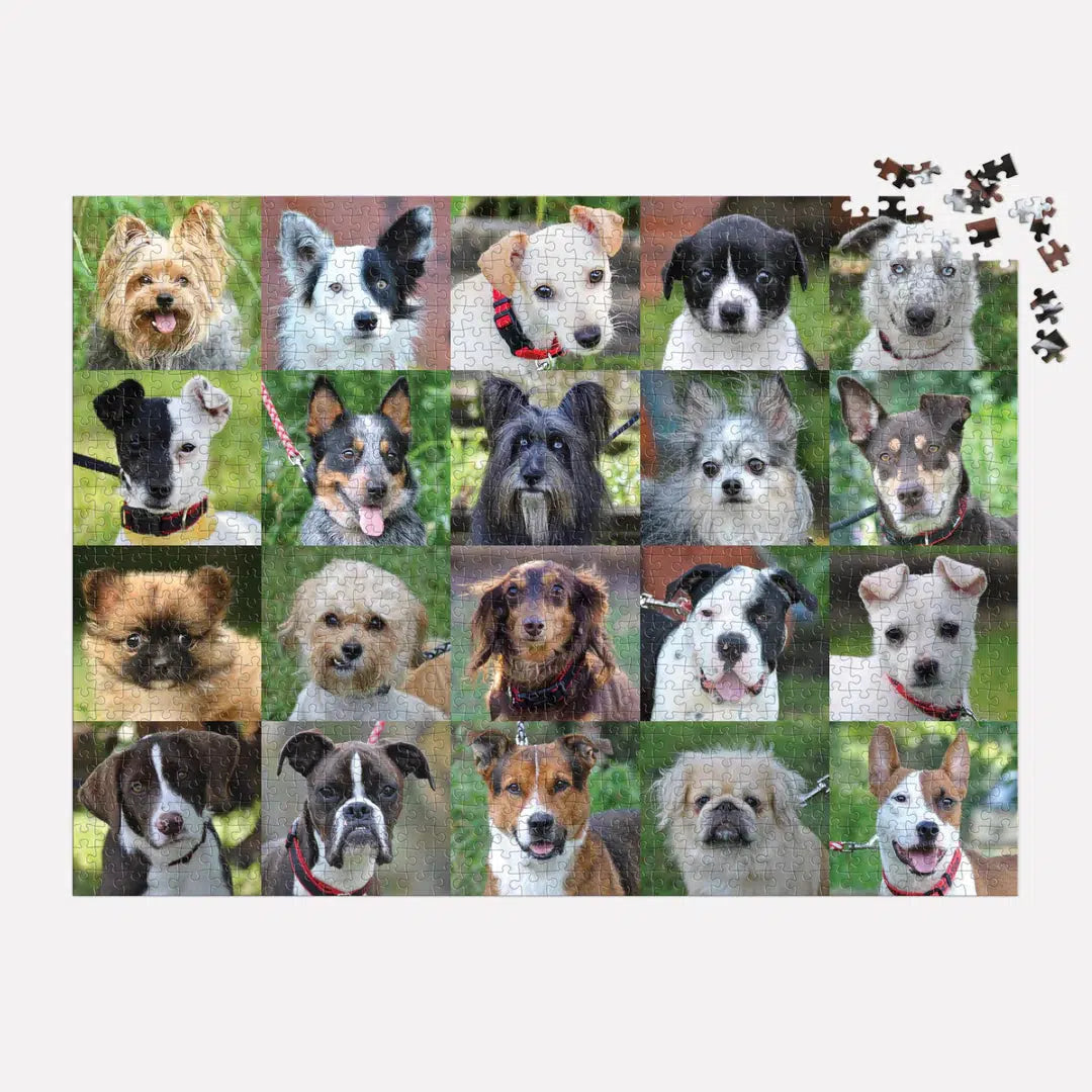 Rescue Dogs 1000 Piece Jigsaw Puzzle Galison