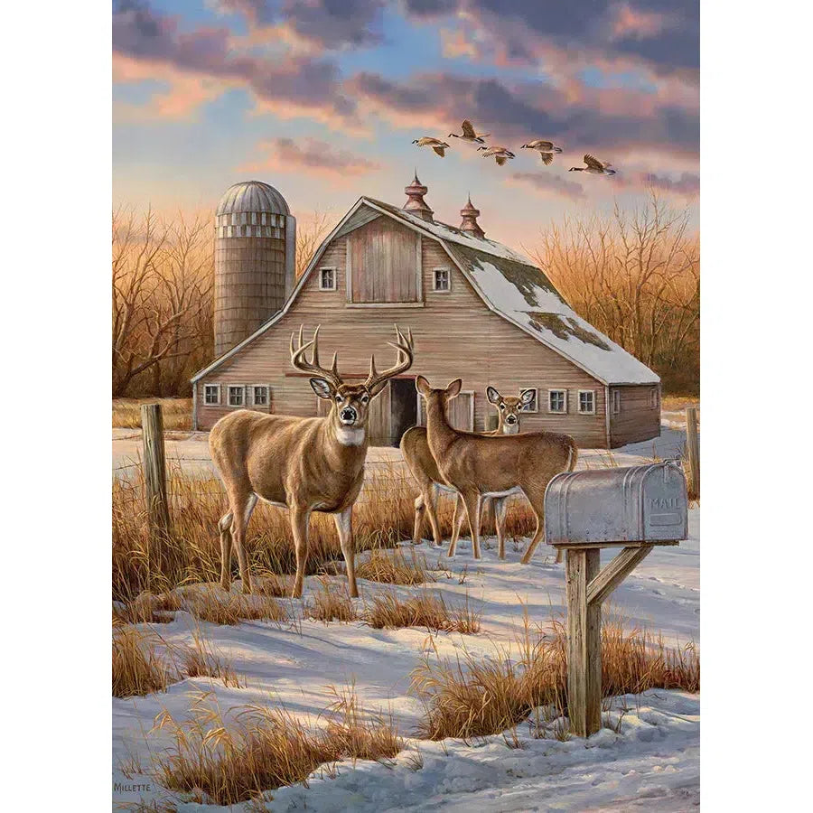 Rural Route 1000 Piece Jigsaw Puzzle Cobble Hill