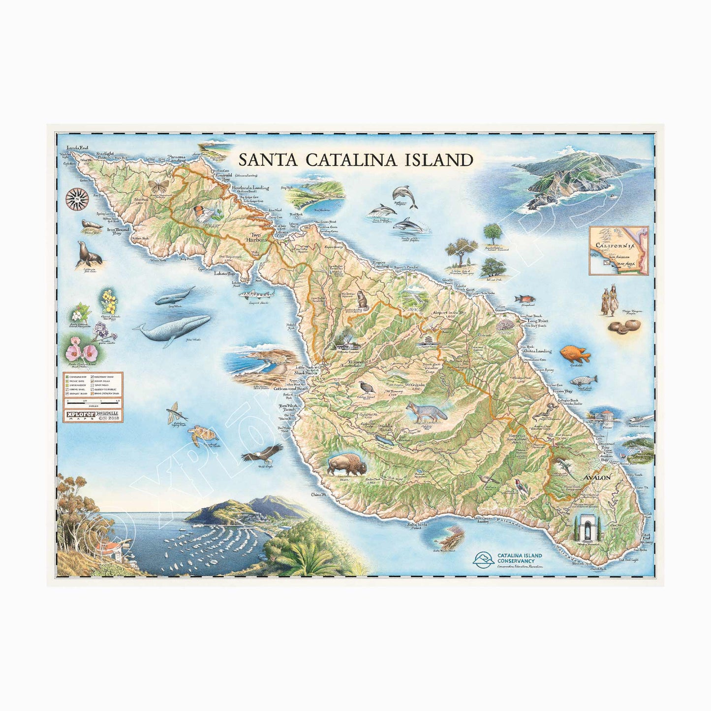 Santa Catalina 1000 Piece Jigsaw Puzzle Xplorer Maps