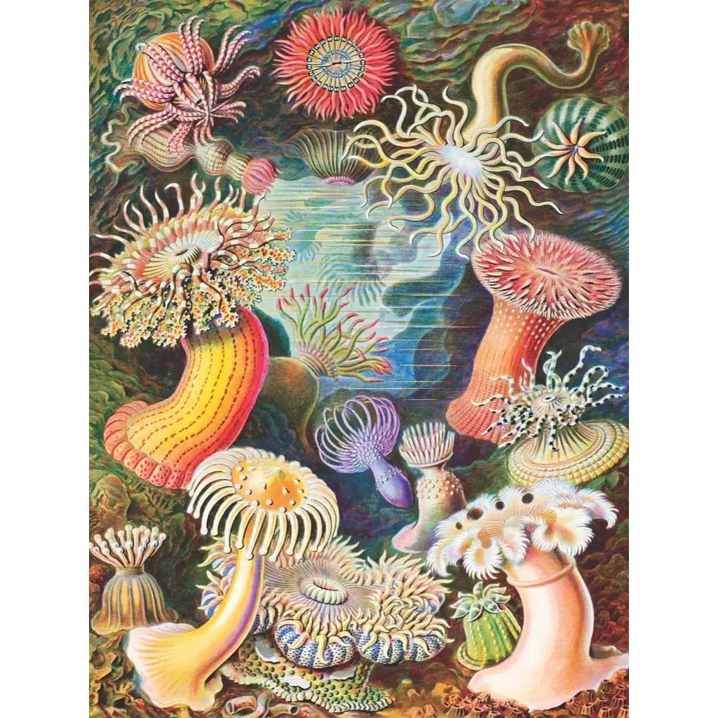 Sea Anemones 1000 Piece Jigsaw Puzzle NYPC