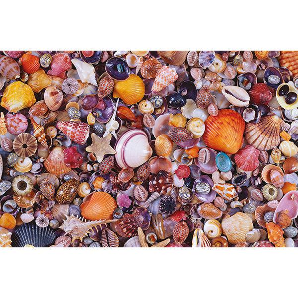 Sea Shells 1000 Piece Jigsaw Puzzle Piatnik