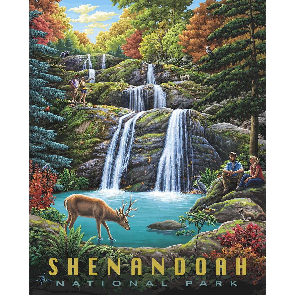 Shenandoah National Park 500 Piece Jigsaw Puzzle Boardwalk
