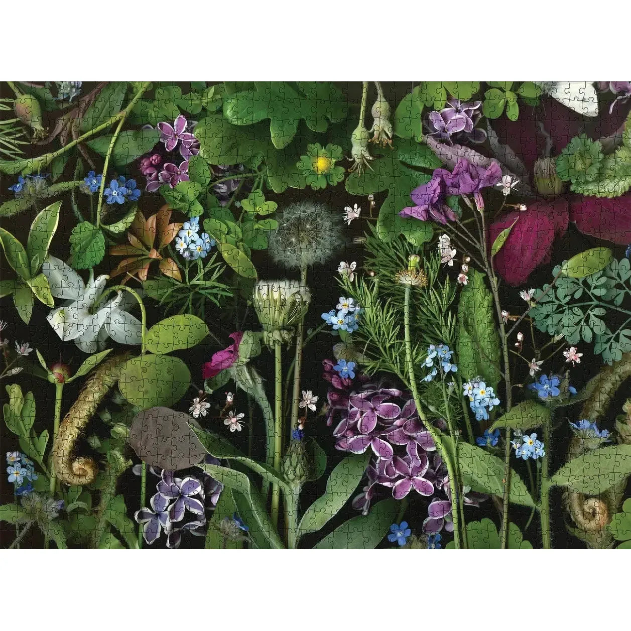 Siri's Lilac by Deb Stoner 1000 Piece Jigsaw Puzzle Pomegranate