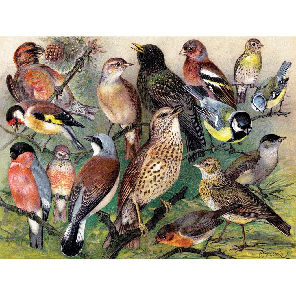 Songbirds 1000 Piece Jigsaw Puzzle NYPC