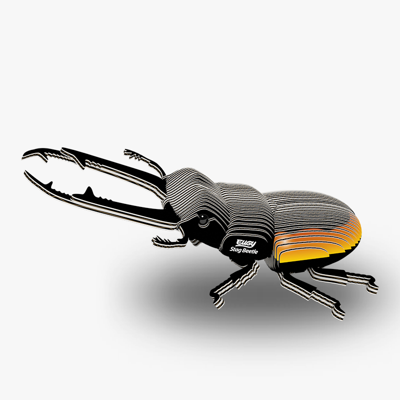 Stag Beetle 3D Cardboard Model Kit Eugy