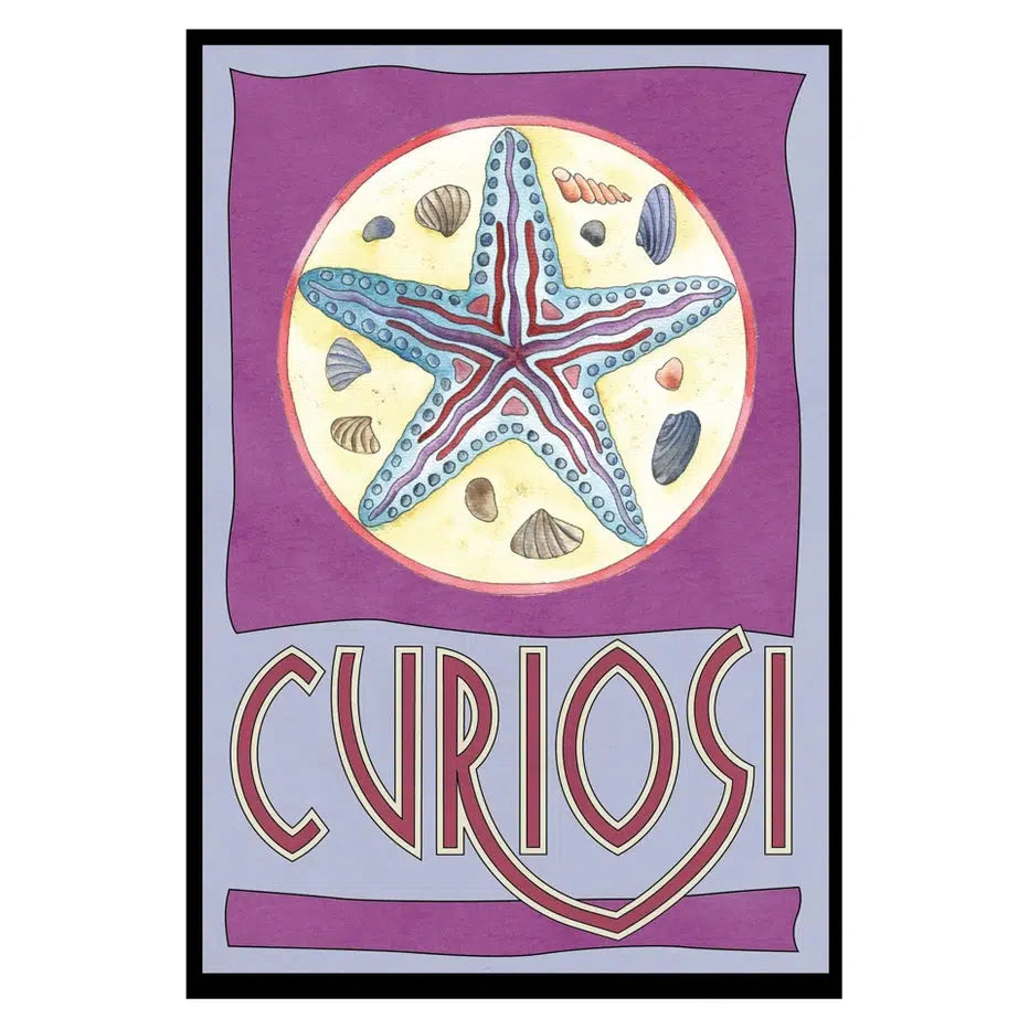 Starfish 33 Piece Mini Matchbox Jigsaw Puzzle Curiosi