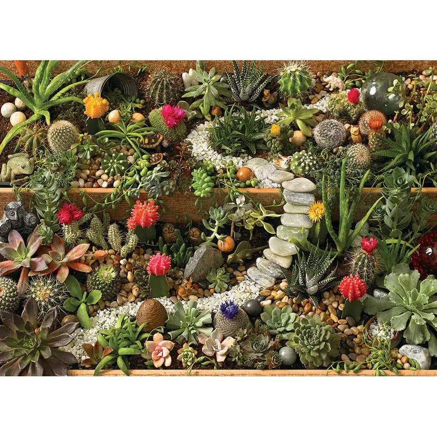 Succulent Garden 1000 Piece Jigsaw Puzzle Cobble Hill