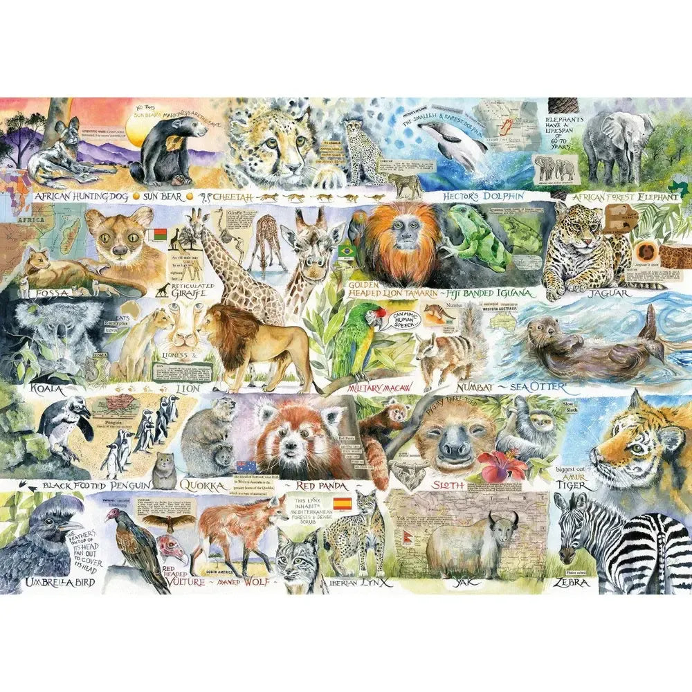 Sun Bears & Sloths 1000 Piece Jigsaw Puzzle Gibsons