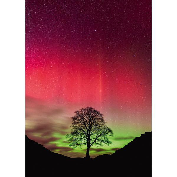 Sycamore Gap Power of Nature 1000 Piece Jigsaw Puzzle Heye