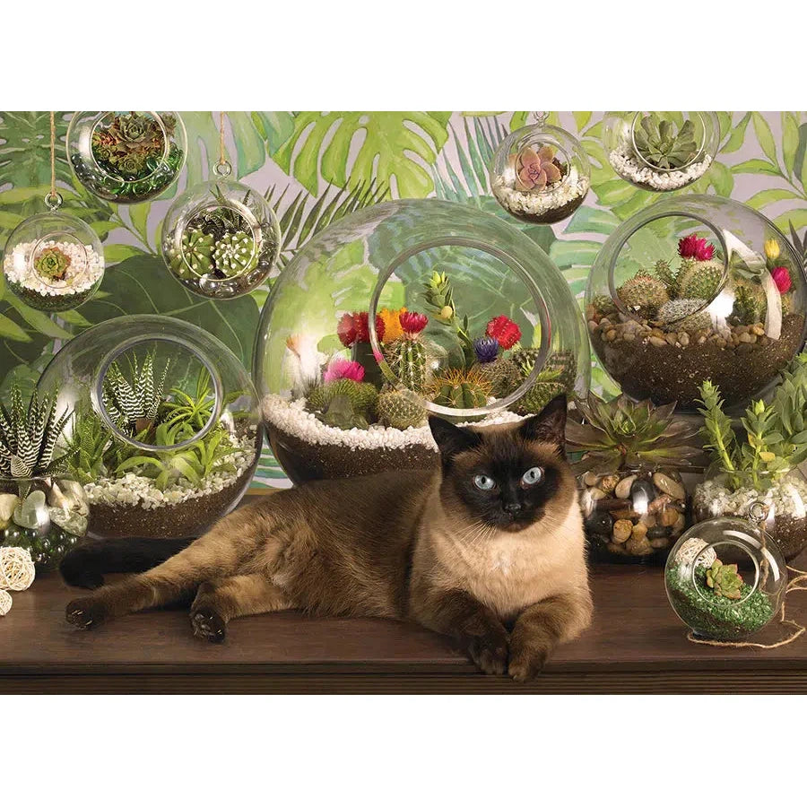 Terrarium Cat 1000 Piece Jigsaw Puzzle Cobble Hill