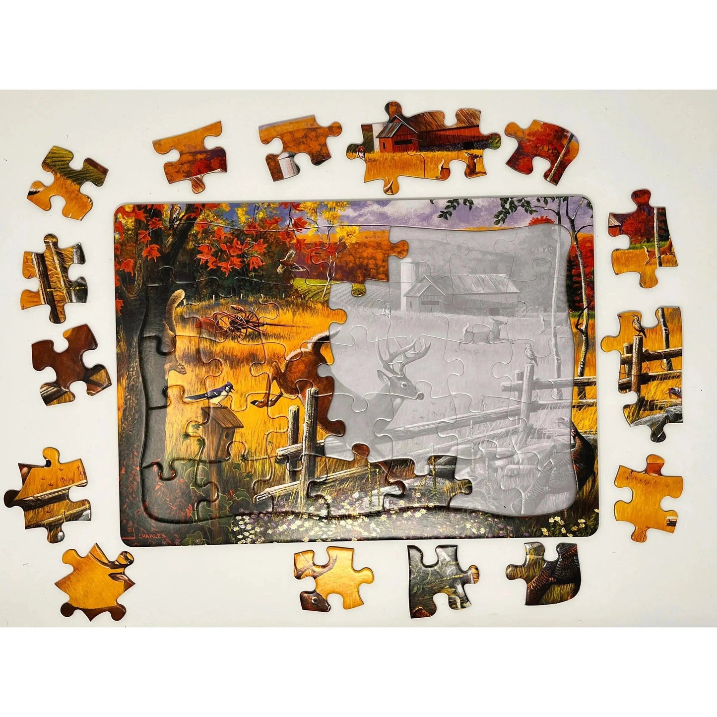 The Big Leap 35 Piece Tray Jigsaw Puzzle Cobble Hill