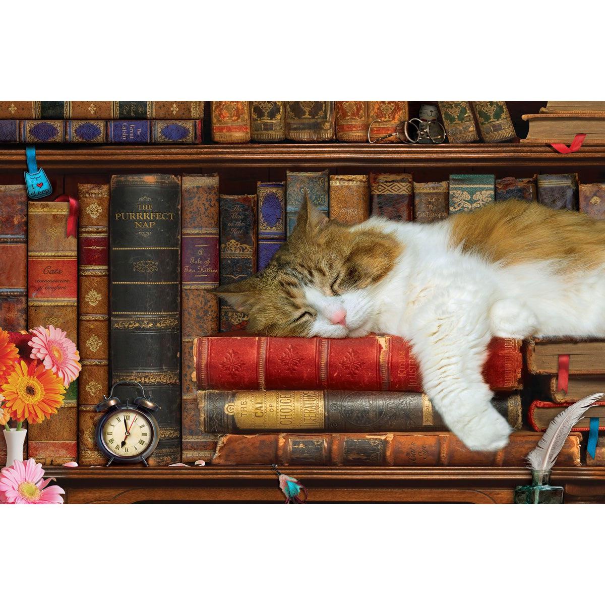 The Cat Nap 1000 Piece Jigsaw Puzzle in Tin Eurographics