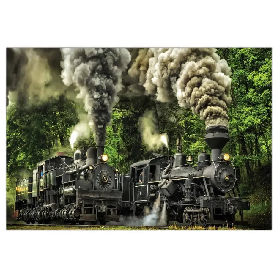 The Great Race 1000 Piece Soft Touch Jigsaw Puzzle Crown Point