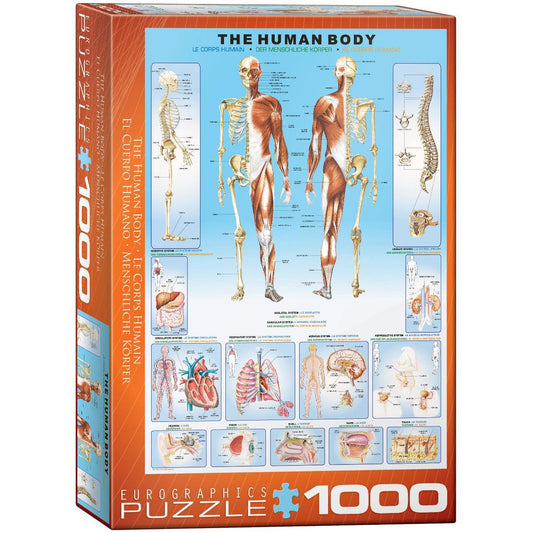 The Human Body 1000 Piece Jigsaw Puzzle Eurographics