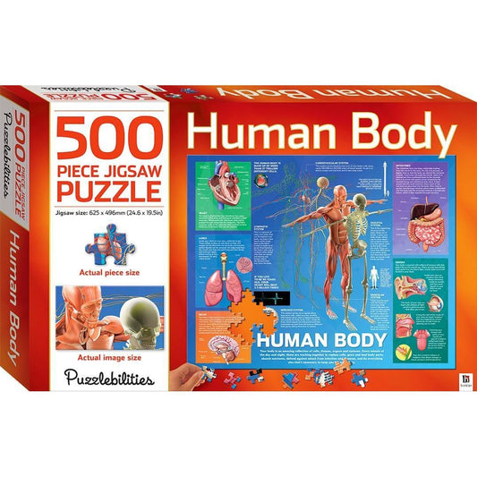 The Human Body 500 Piece Jigsaw Puzzle Hinkler