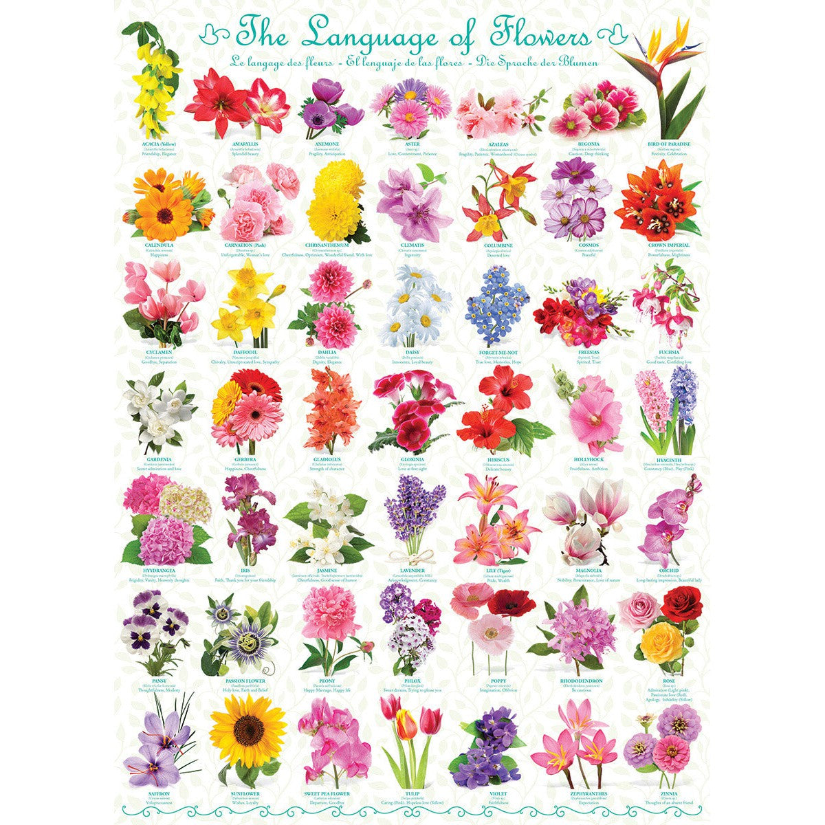 The Language of Flowers 1000 Piece Jigsaw Puzzle Eurographics