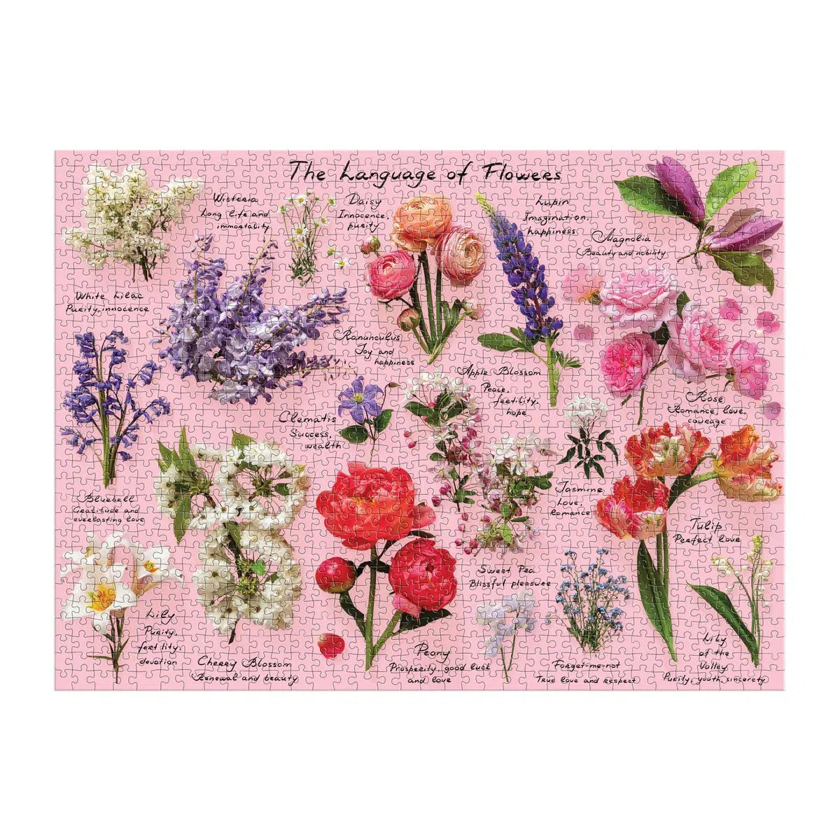 The Language of Flowers 1000 Piece Jigsaw Puzzle Galison