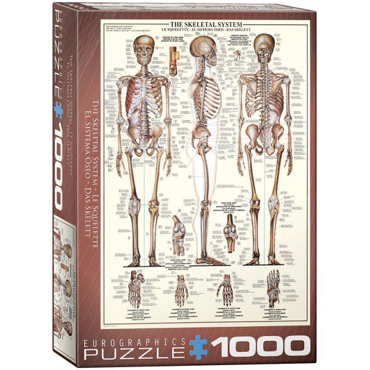 The Skeletal System 1000 Piece Jigsaw Puzzle Eurographics