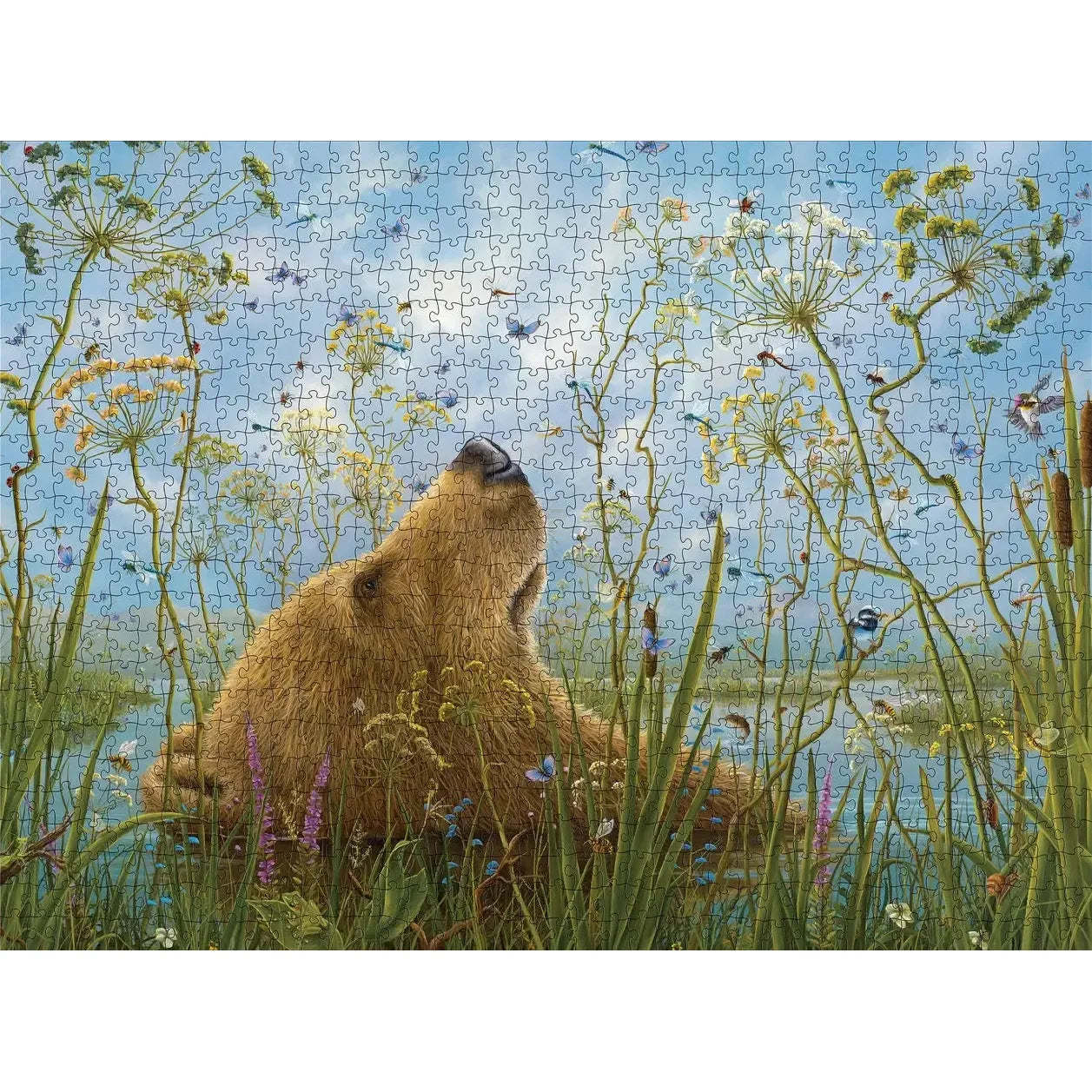 The Whole World by Robert Bissell 1000 Piece Jigsaw Puzzle Pomegranate
