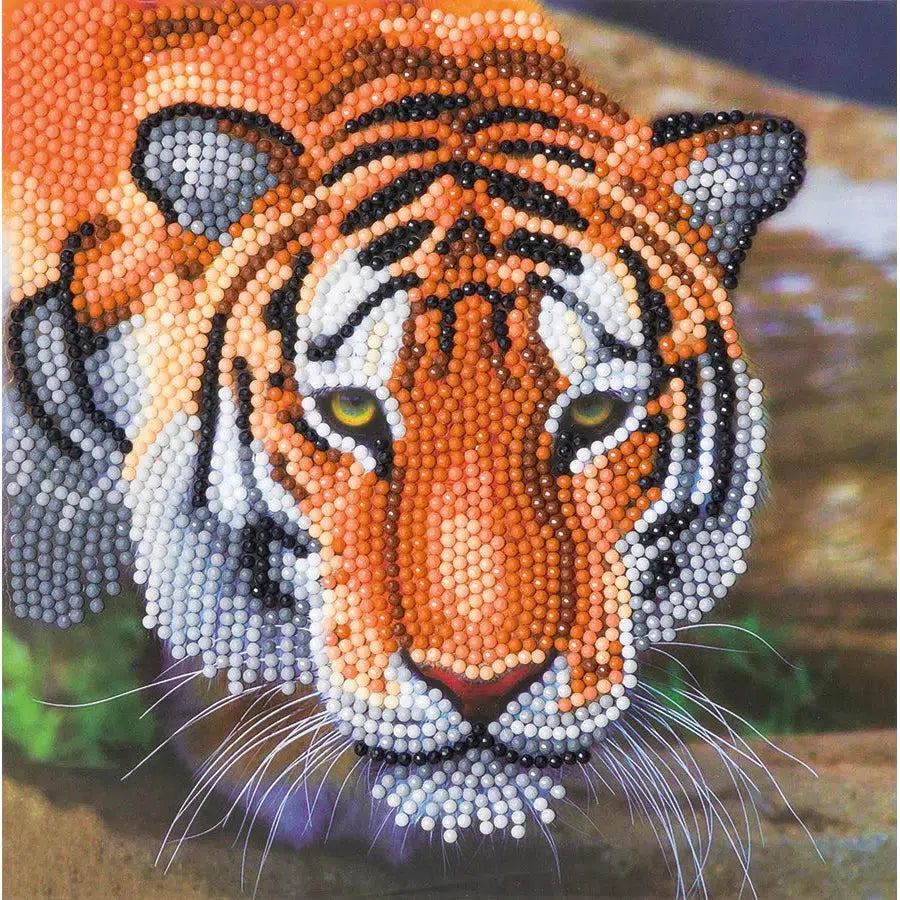 Tiger Crystal Art Card Kit Craft Buddy