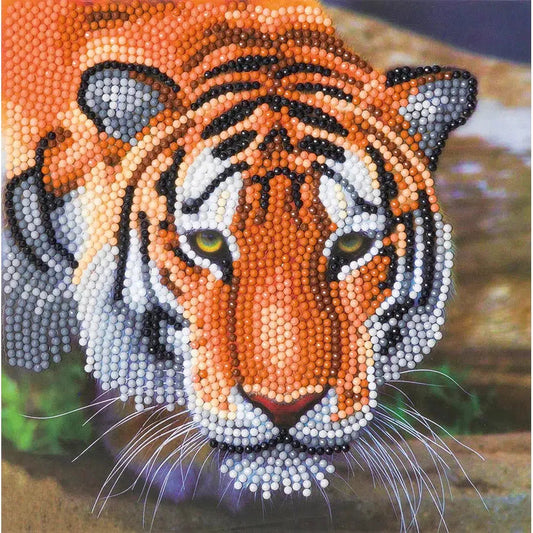 Tiger Crystal Art Card Kit Craft Buddy