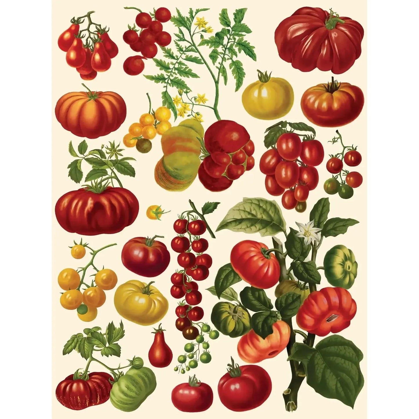 Tomatoes Vintage Collection 500 Piece Jigsaw Puzzle NYPC