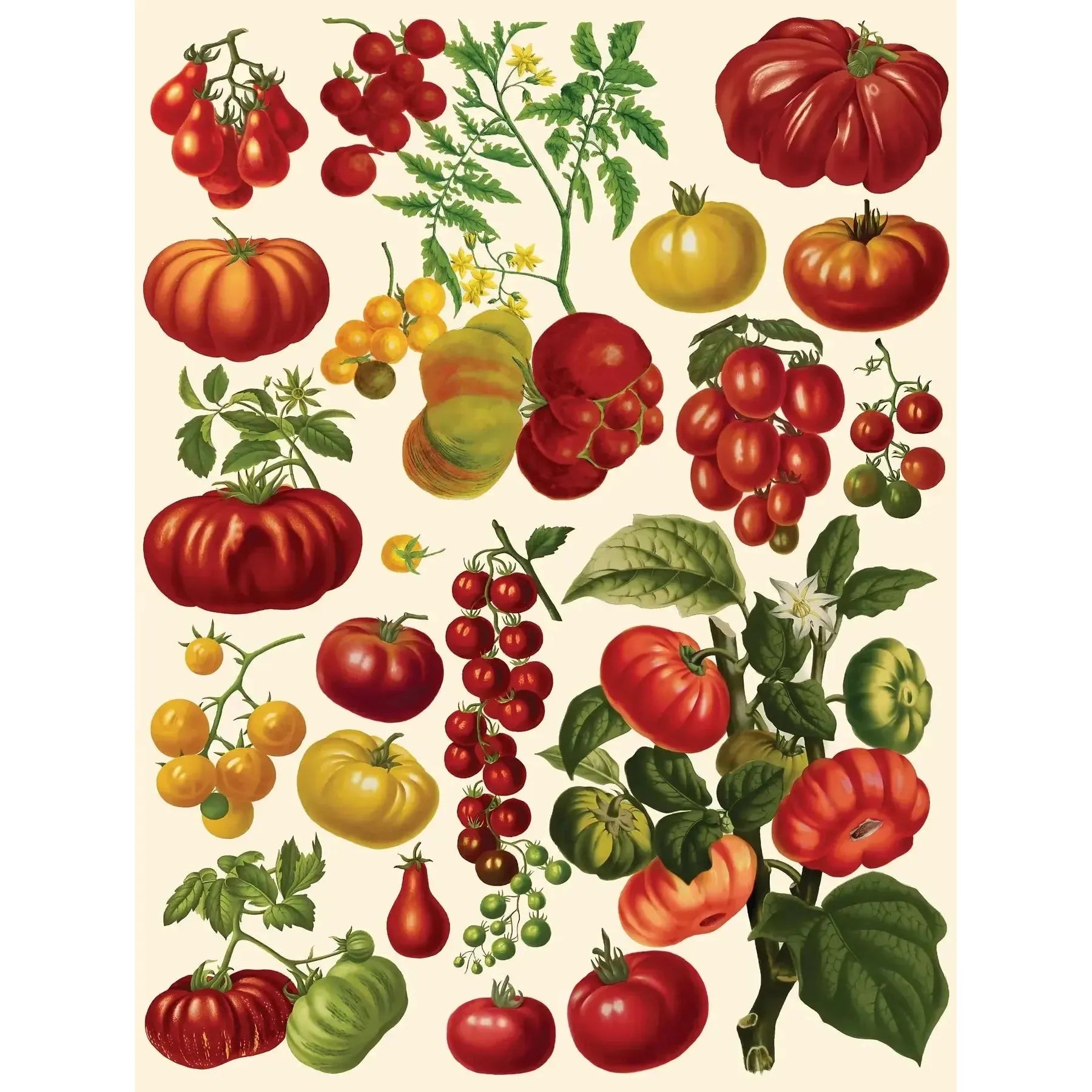 Tomatoes Vintage Collection 500 Piece Jigsaw Puzzle NYPC