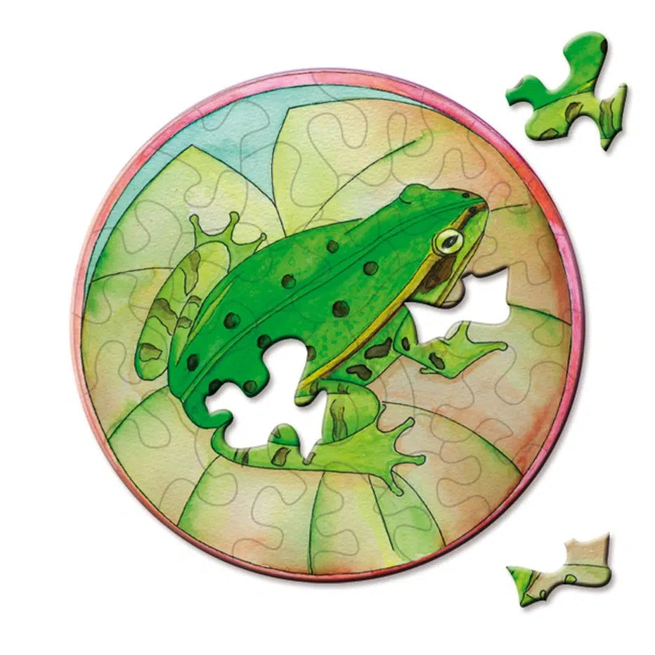 Tree Frog 33 Piece Mini Matchbox Jigsaw Puzzle Curiosi