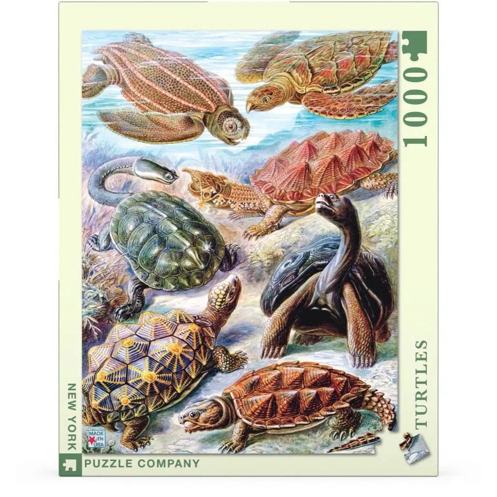 Turtles 1000 Piece Jigsaw Puzzle NYPC