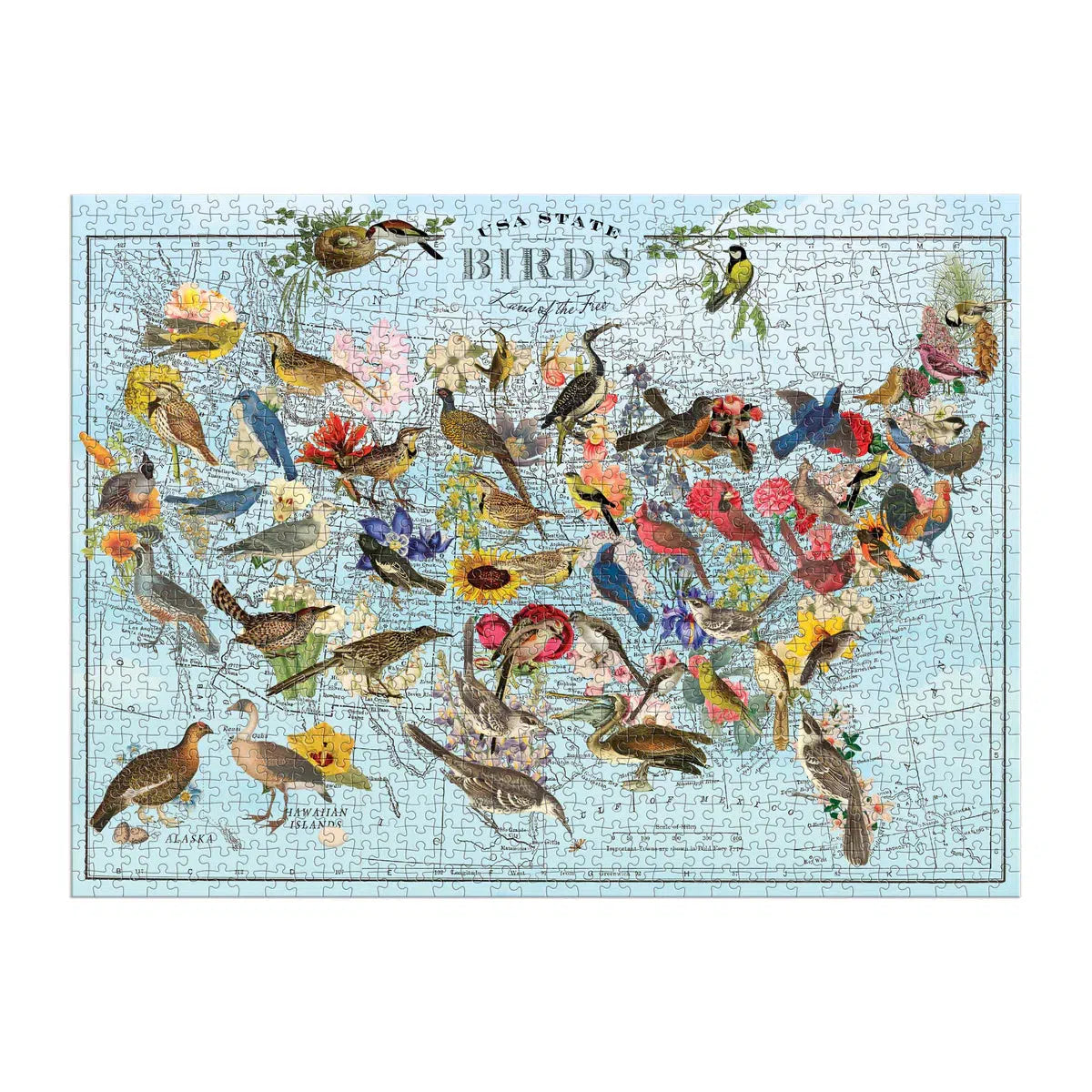 USA State Birds 1000 Piece Jigsaw Puzzle Galison