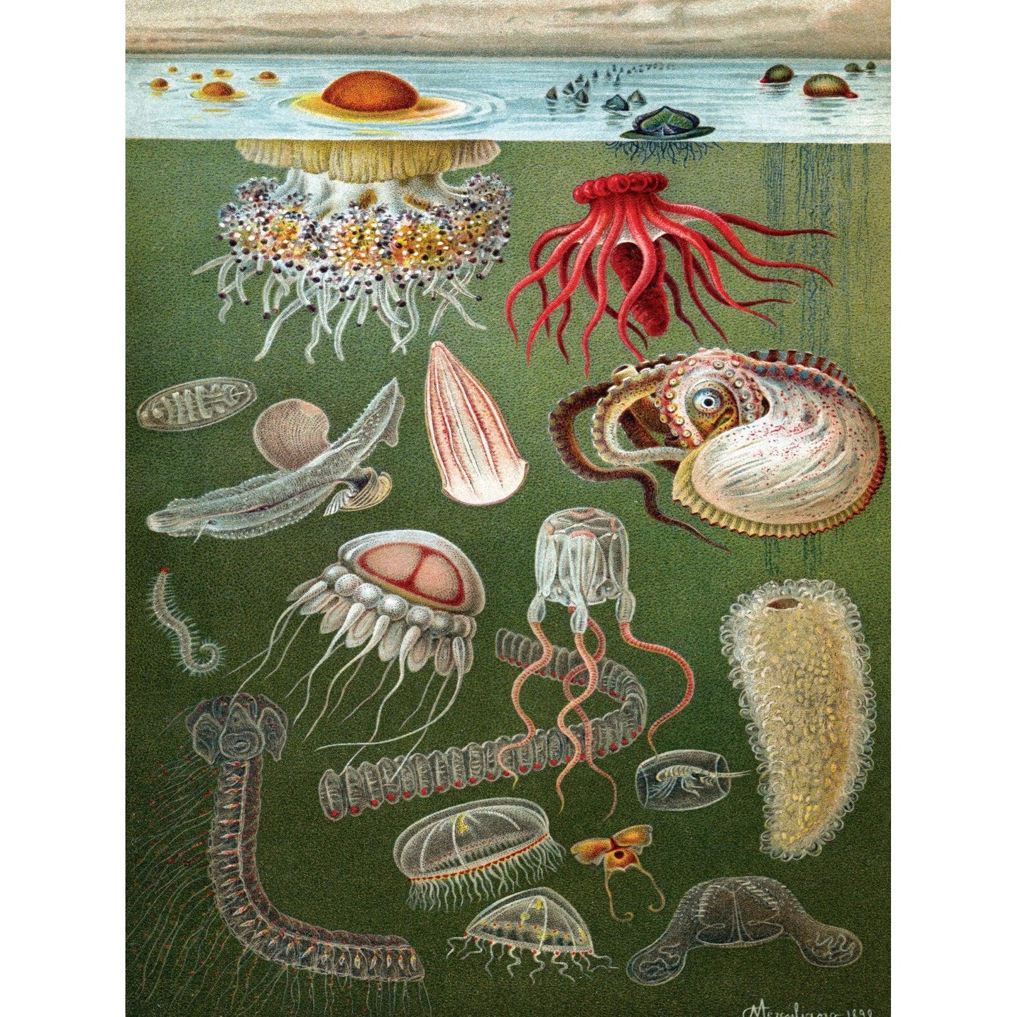 Under the Sea 1000 Piece Jigsaw Puzzle NYPC